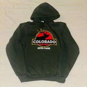 Colorado Estes Park Jurassic Park Hoodie Small